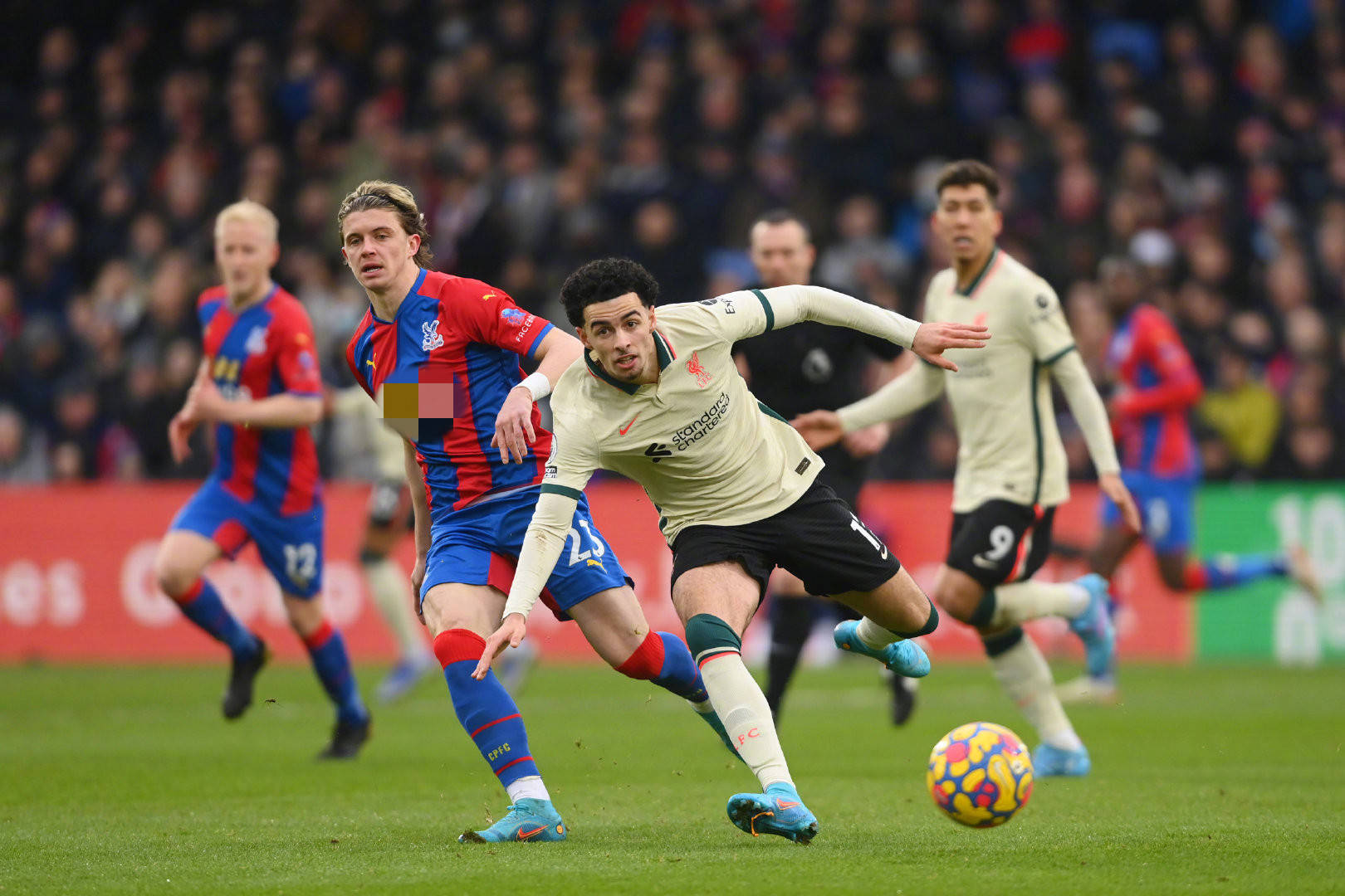 看比赛的那 看比赛的那