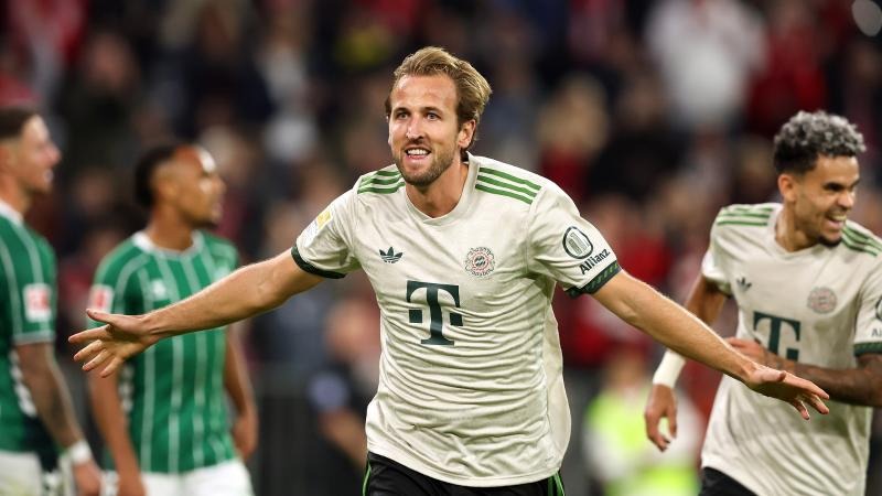 这正是斯波 这正是斯波